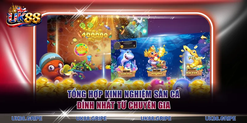 Tổng hợp kinh nghiệm săn cá đỉnh nhất từ chuyên gia